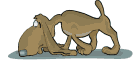 gify pieski
