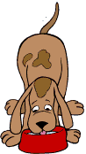 gify pieski