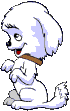 gify pieski