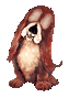gify pieski