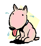 gify pieski